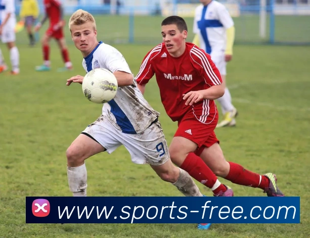 球赛投注平台生态图